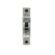 SIEMENS 5SX21-A6 230/400V 6A NSNP