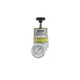 SMC IR200-02BG NSNP