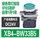 1PC NEW Schneider Push-button switch XB4-BW33B5