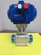 Habonim Tubore(TM) A48X Valve with Pneumatic Actuator