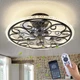 HuixuTe Retro Black Caged Ceiling Fan with Lights Remote Control, 6 Speeds 3 ...