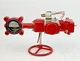 BRAY 92-0830-11300-532/ 50-0406-12610-532/630250-21410536/ 316SS BV/ 8" WHEEL