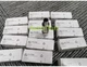 For 1PC IFM PV7004 pressure sensor *kk