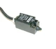 RITTAL  SZ2586  LIMIT SWITCH 6 AMP 600 VAC 1 N.O. 1 N.C. CONTACTS
