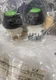 Westinghouse Green Push Button Momentary PB1 A Model B
