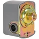 Eastman Pressure Switch, 30-50 PSI Preset, 1/4 in FPT Gray 