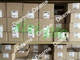 1 pcs NEW Phoenix 2989307 FL FXT Ethernet switch DHL shipping