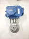HABONIM COMPACT C30 SR-2C IMP  PNEUMATIC ACTUATOR w/ 10 H27-666MYB/DIN3852 VALVE