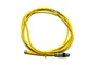 Turck PKG 4M-6 Cordset 8ft Length U0058-11