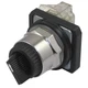 DAYTON 30G296 SelectorSwitch,Non-Illum,2Pos,30mm,Black 30G296