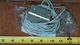 SMC CDQ2B20-30D-J79WL Cylinder w (2) D-J79W Proximity Sensor Autoswitches NOS