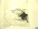 NEW EATON CUTLER-HAMMER 10250TA15 PUSHBUTTON GUARD ASSEMBLY