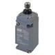 Dayton 11X452 Heavy Duty Limit Switch, Plunger, Spdt, 10A At 600V Ac, Actuator