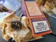 NOS Mallory 3226J 2 CKT. 6  Position Non Shorting Rotary Switch