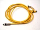 Turck PKG 4M-6 PicoFast Single Ended Cable Cordset U0058-11