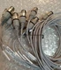 1PC New SMC D-M9PSDPC Magnetic Switch DM9PSDPC