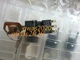 1PCS NEW Omron NEW A16S-2N-2 A16S2N2 Pushbutton Switch 