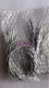 1Pcs New SMC D-M9B(no box)